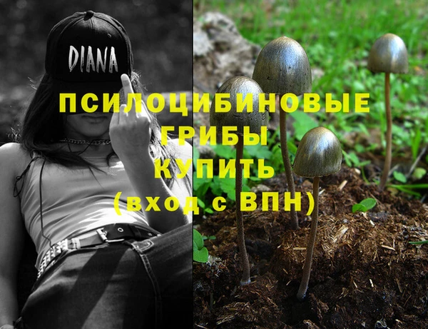 меф Белокуриха