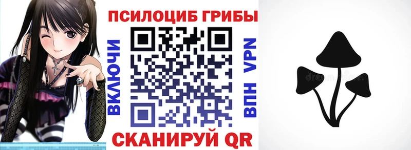 Псилоцибиновые грибы Magic Shrooms Северск