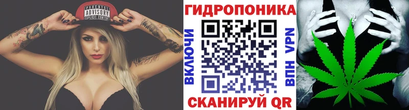 МЕГА вход  купить наркотики сайты  Северск  Марихуана THC 21% 